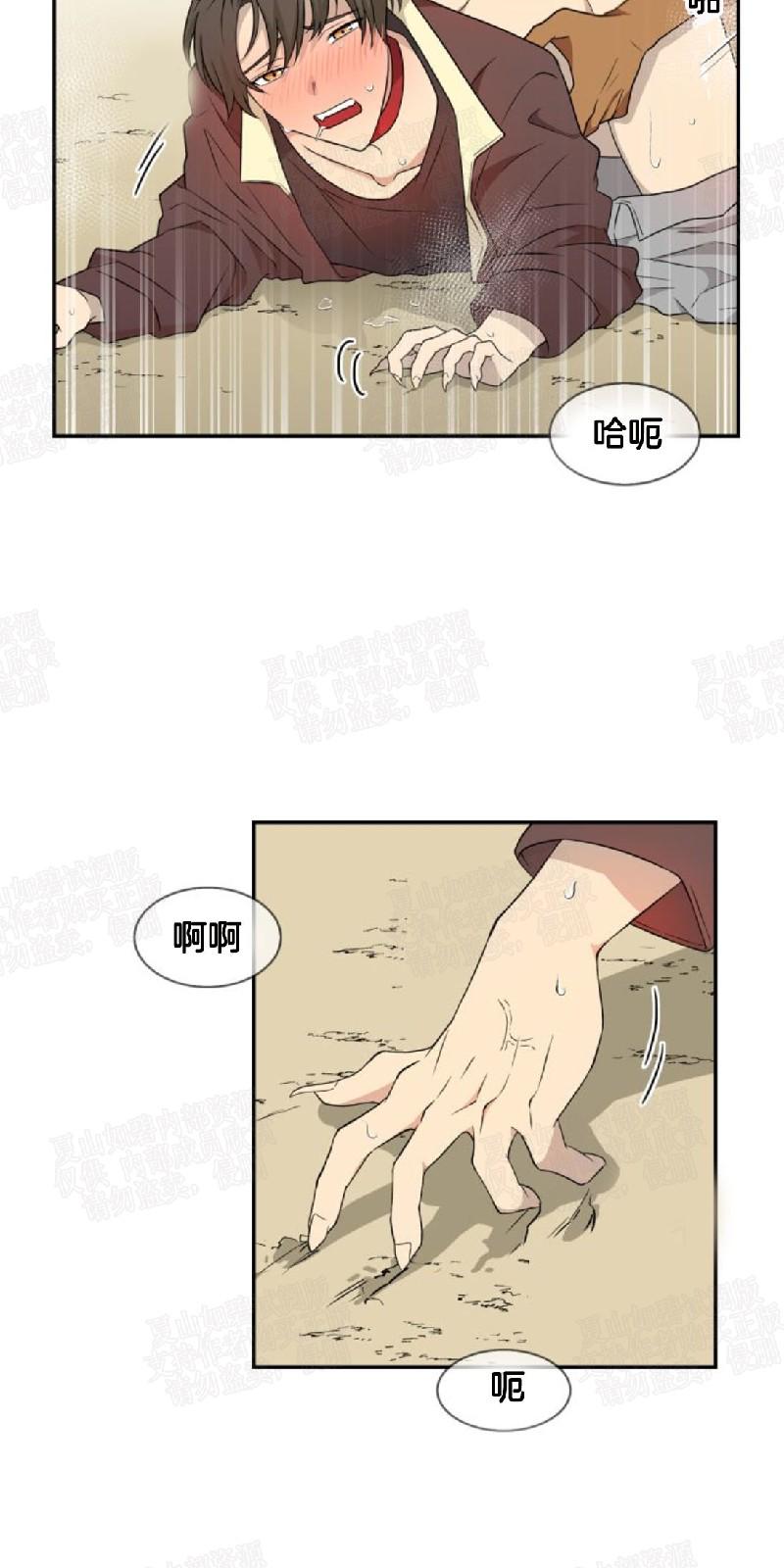 动物王国运动会作文300字漫画,第2话4图