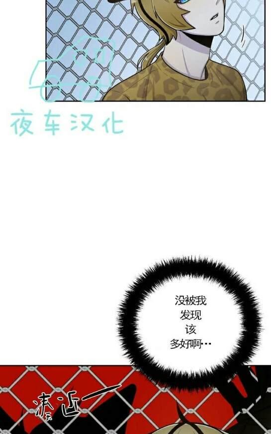 动物王国大冒险英文版全集bt下载漫画,第49话3图