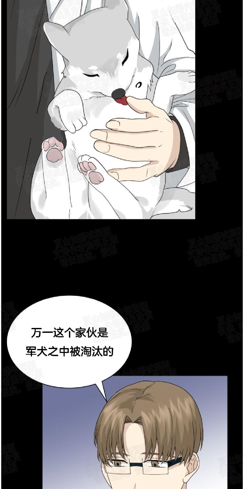 动物王国运动会作文300字漫画,第20话5图