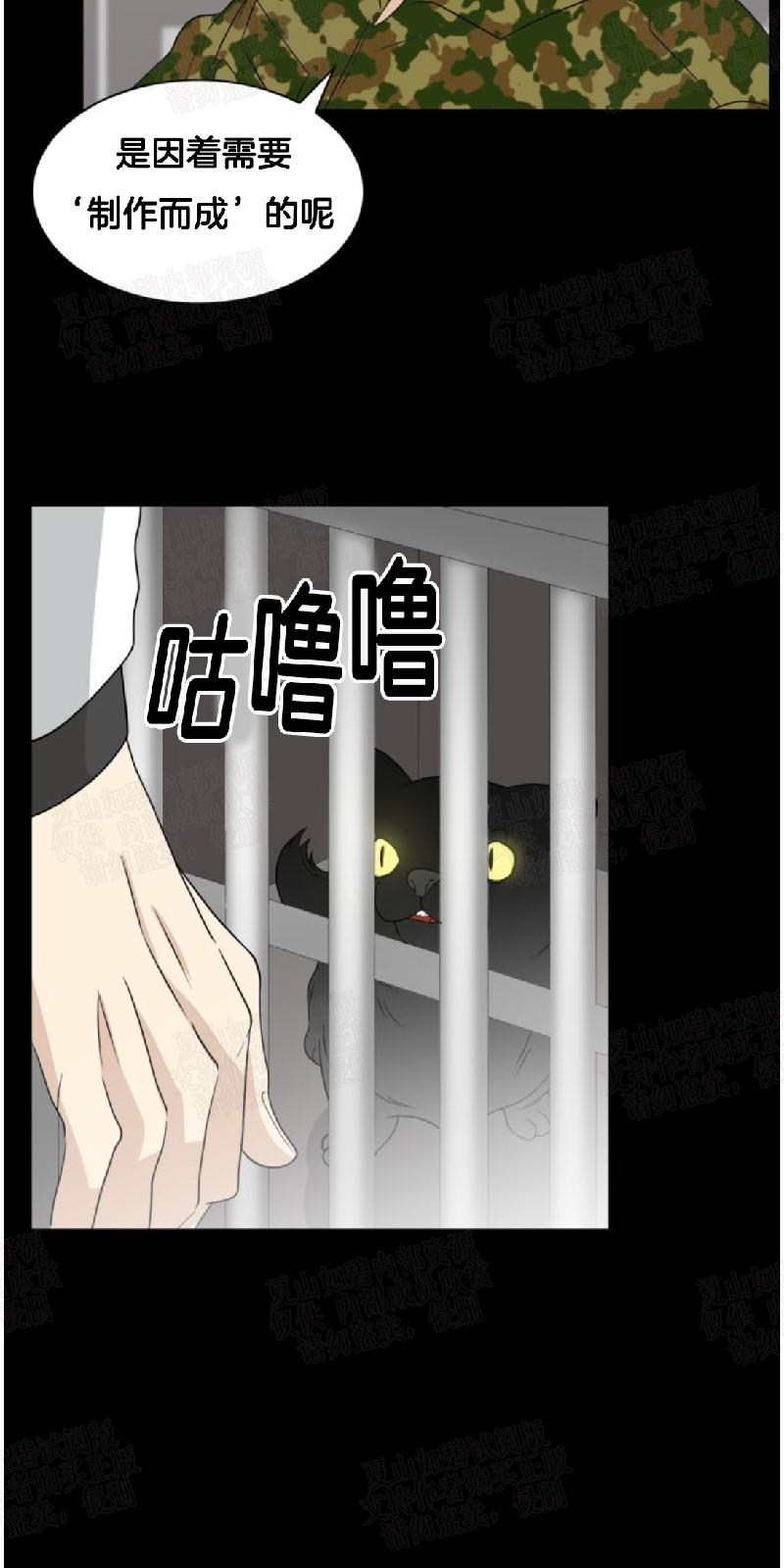 动物王国运动会作文300字漫画,第20话3图