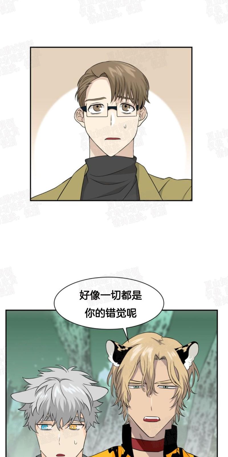 动物王国大冒险英文版全集bt下载漫画,第9话2图