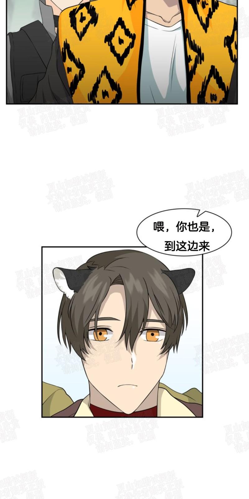 动物王国大冒险英文版全集bt下载漫画,第9话3图