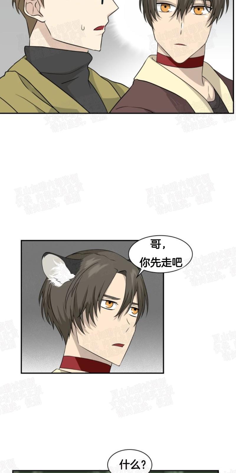 动物王国大冒险英文版全集bt下载漫画,第9话5图