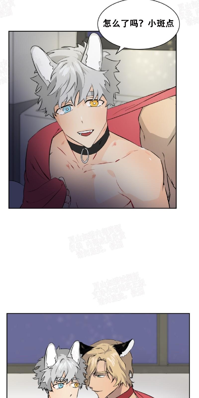 动物王国开大会的故事漫画,第26话3图