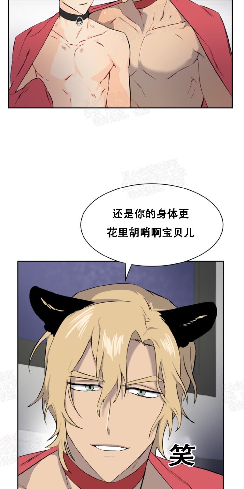 动物王国开大会的故事漫画,第26话4图