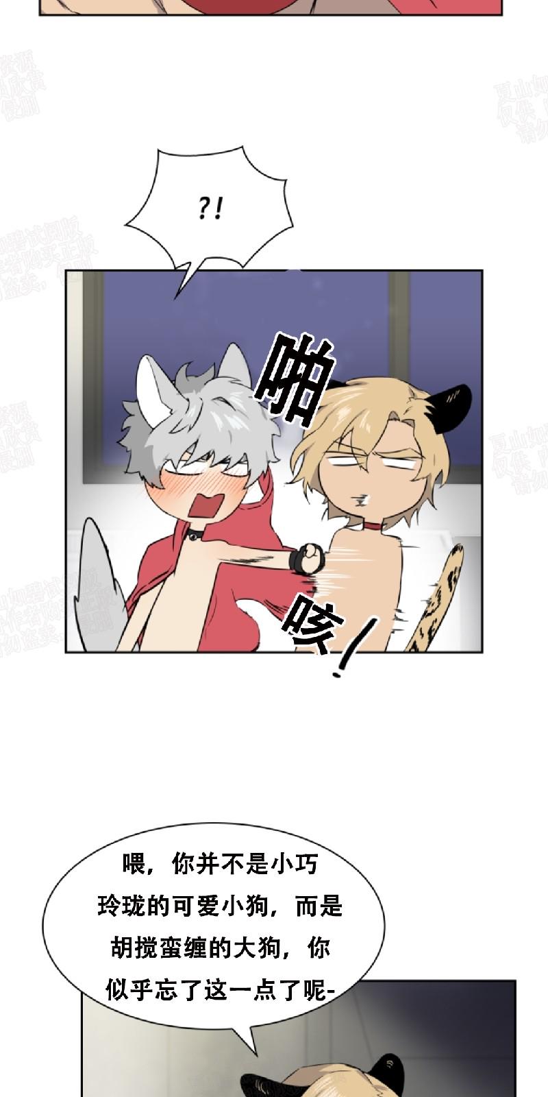 动物王国开大会的故事漫画,第26话5图