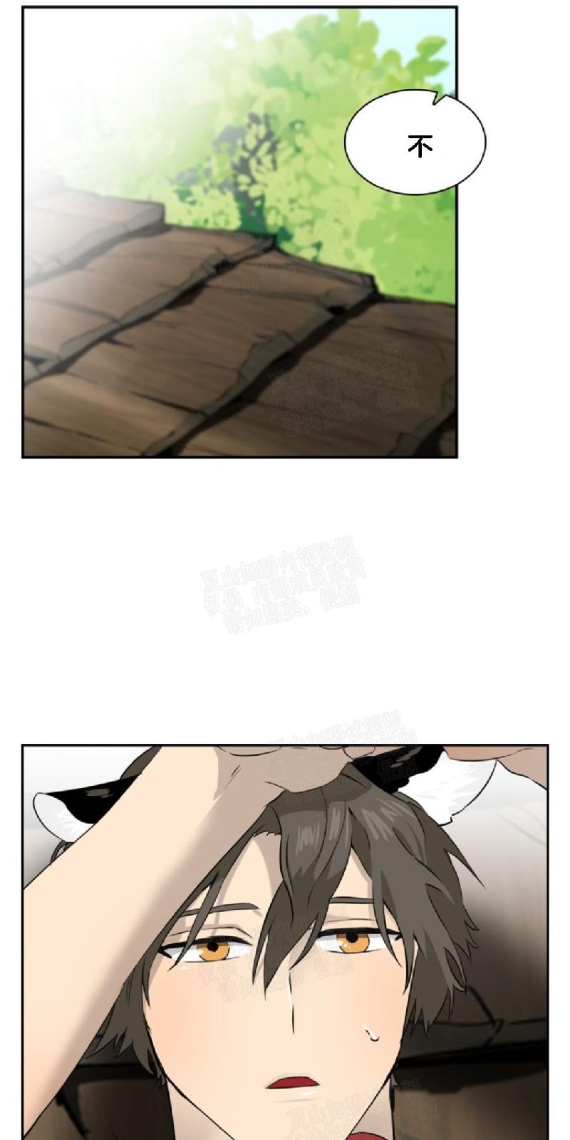 动物王国大冒险英语启蒙百度网盘漫画,第25话1图
