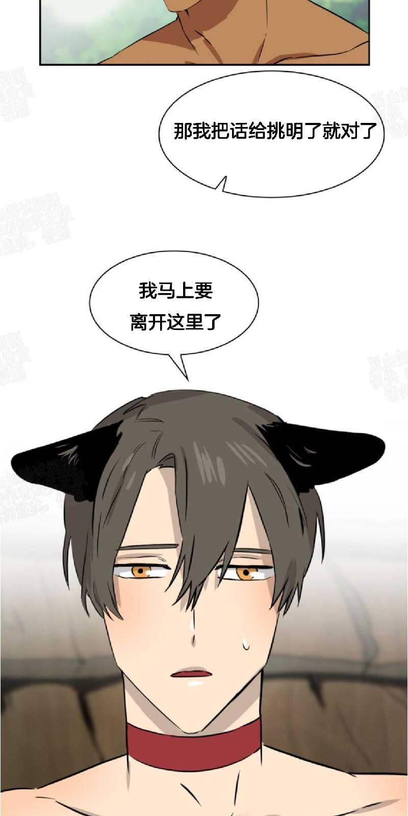 动物王国大冒险英语启蒙百度网盘漫画,第25话5图
