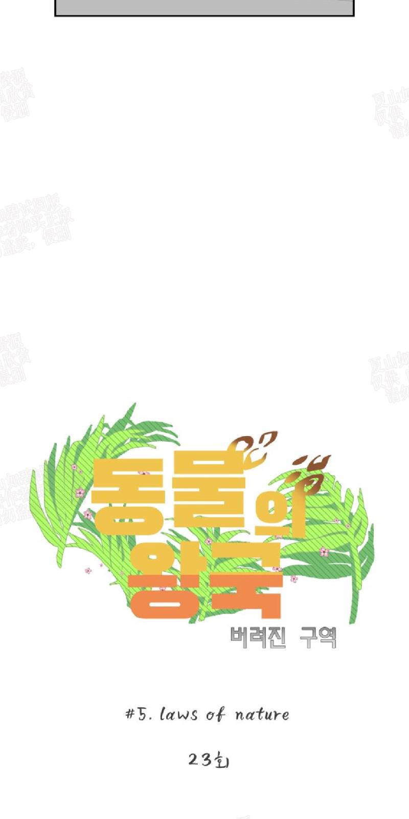 动物王国图片大全大图漫画,第23话5图