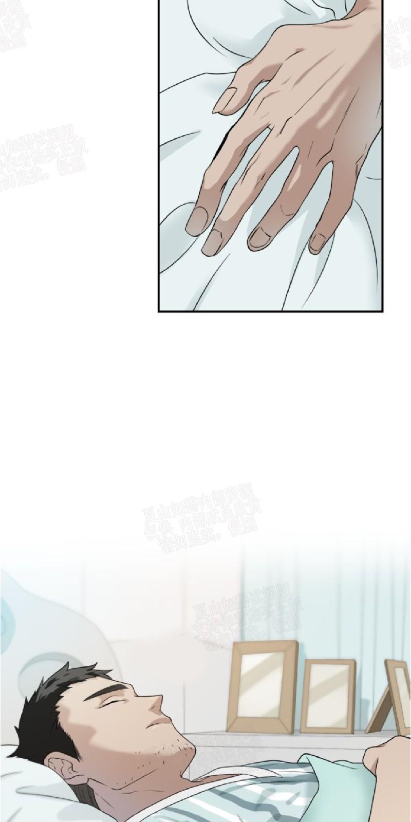 动物王国图片大全大图漫画,第23话3图
