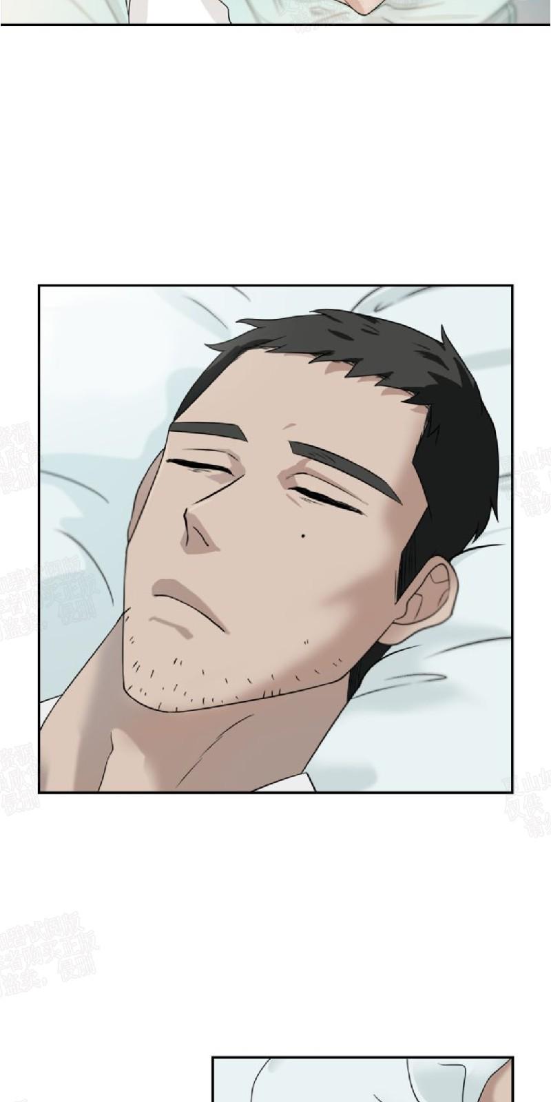动物王国图片大全大图漫画,第23话2图