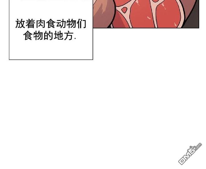 动物王国开大会的故事漫画,第12话5图