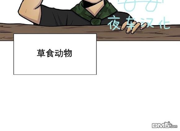 动物王国开大会的故事漫画,第12话2图