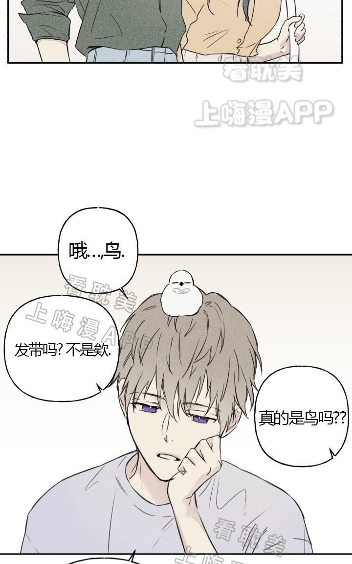 天使密友有肉吗漫画,第3话3图