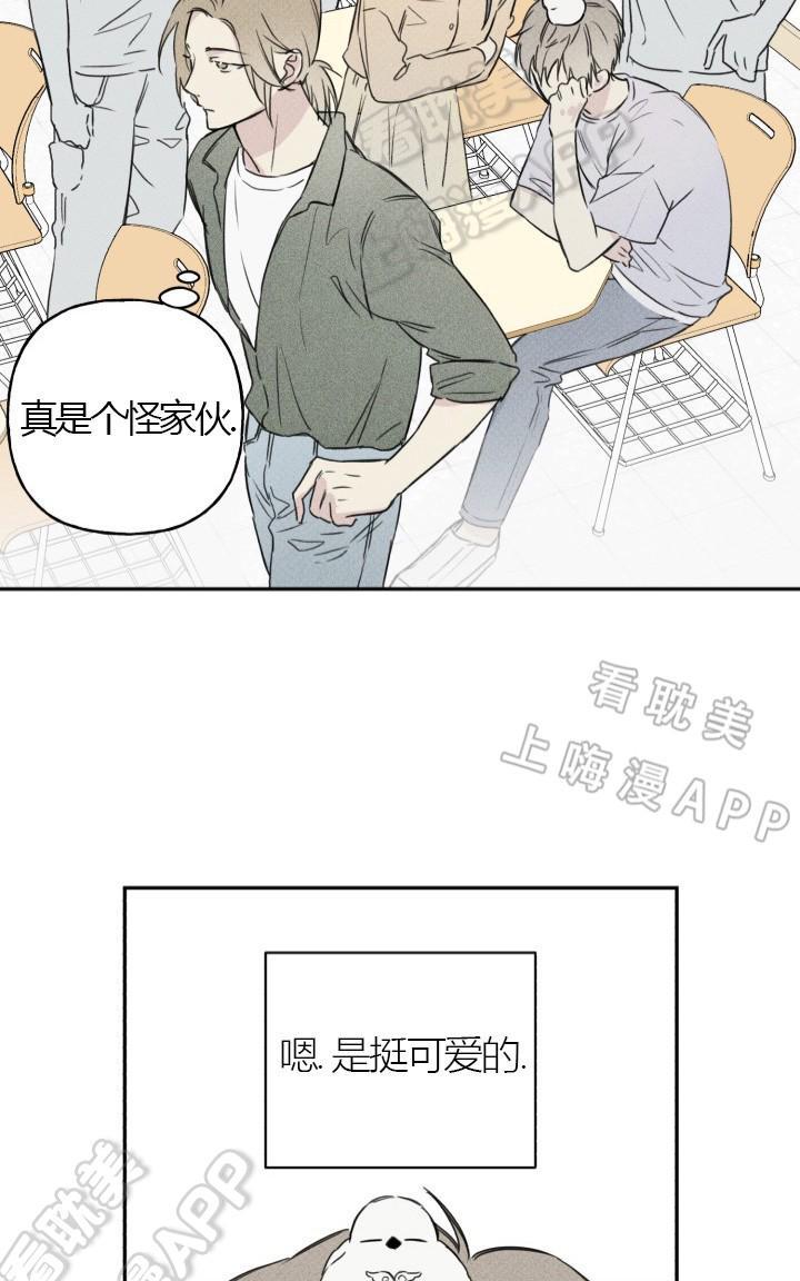 天使密友有肉吗漫画,第3话5图
