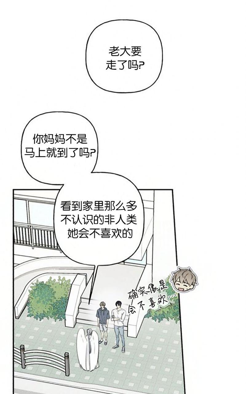 天使密友的作者漫画,第56话1图