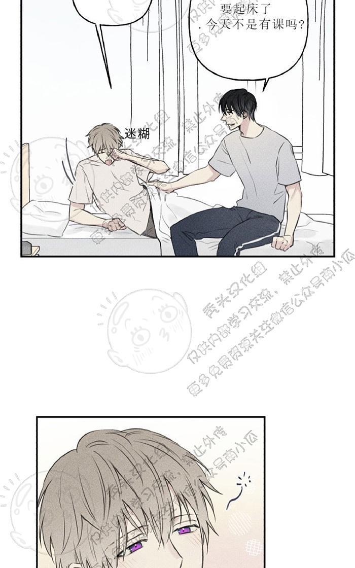 天使密友的车在第几画漫画,第22话5图