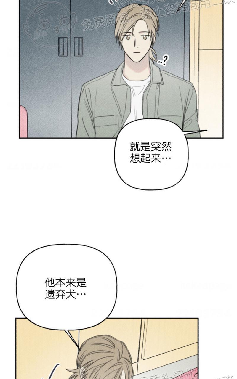 天使密友的车在第几画漫画,第67话4图