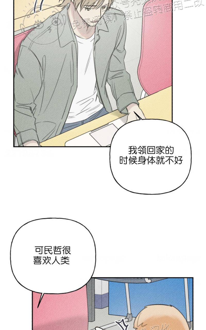 天使密友的车在第几画漫画,第67话5图