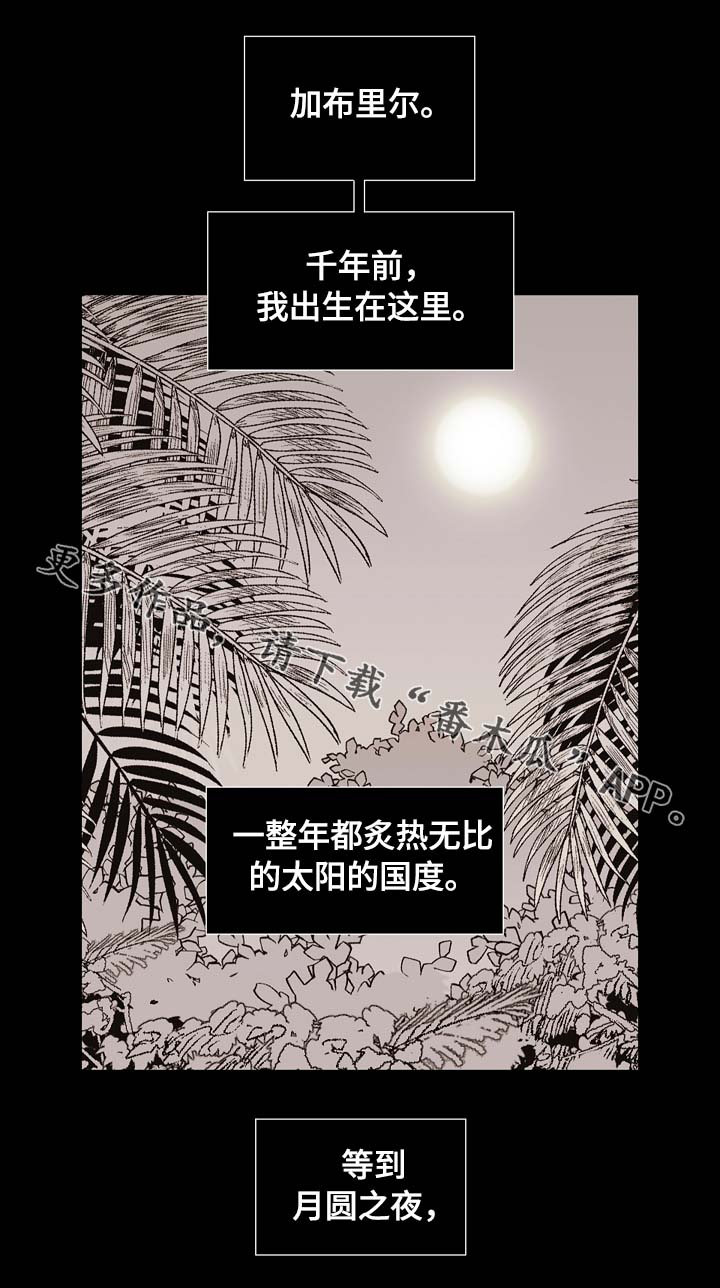 拯救上神计划全文阅读漫画,第66章：狼族秘辛1图