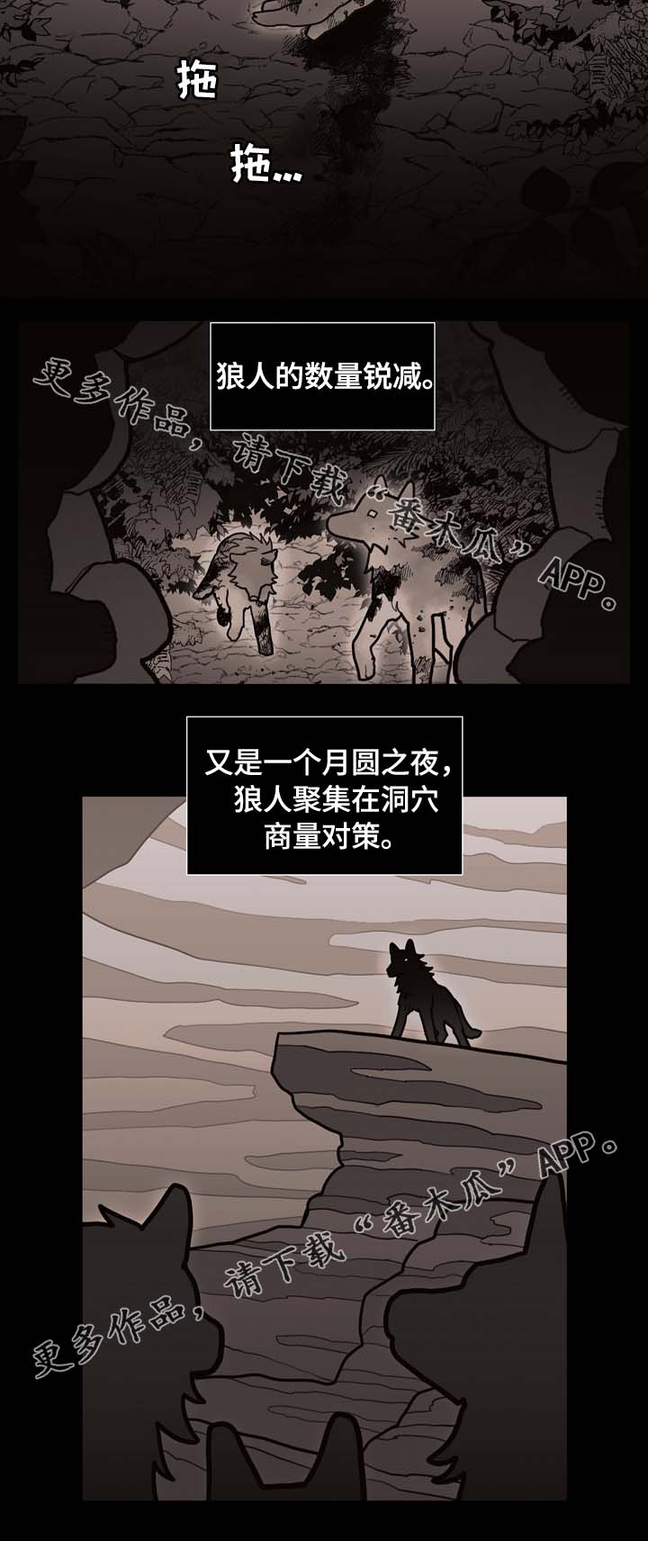拯救上神计划全文阅读漫画,第66章：狼族秘辛4图