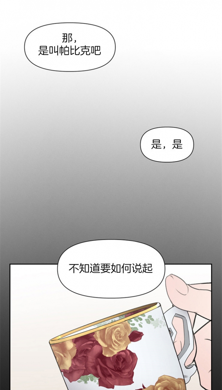 大公阁下小说在线阅读漫画,第2话1图