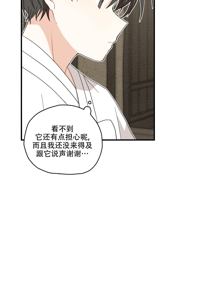 铺满金色巴掌的水泥路原文漫画,第8话5图