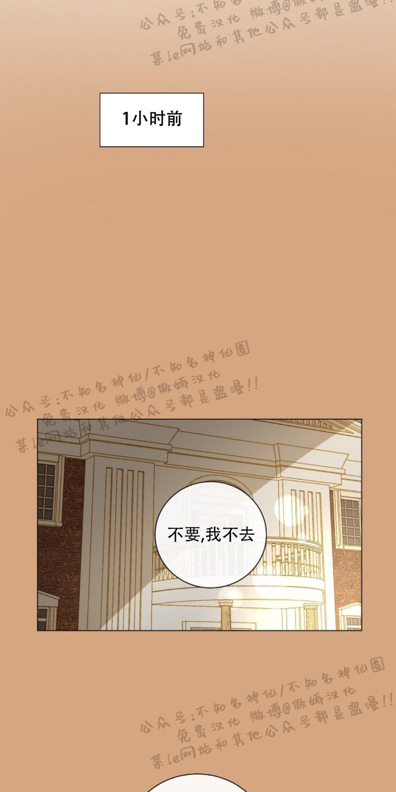 今天开始做城主漫画,第11话4图