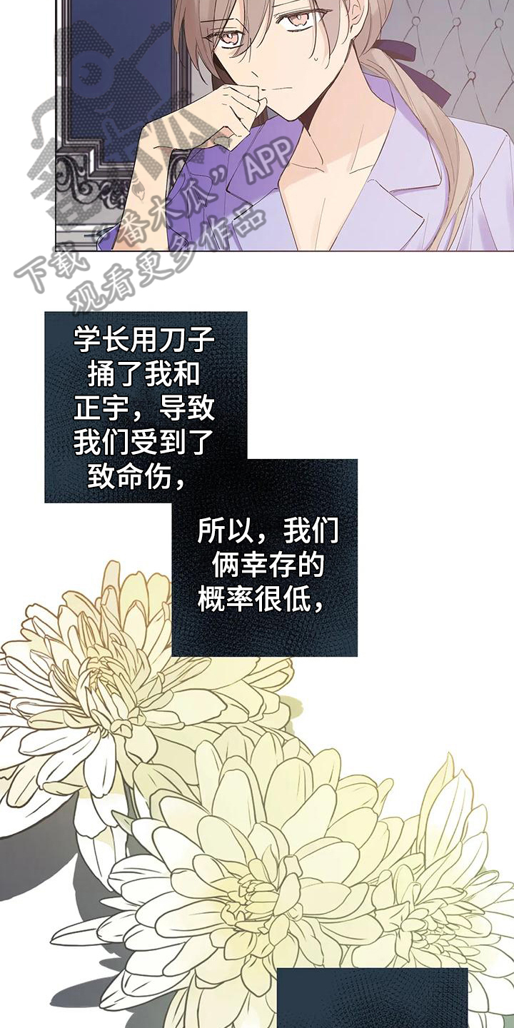 女神艾斯德斯对战北方的王子漫画,第6章：个人物品4图