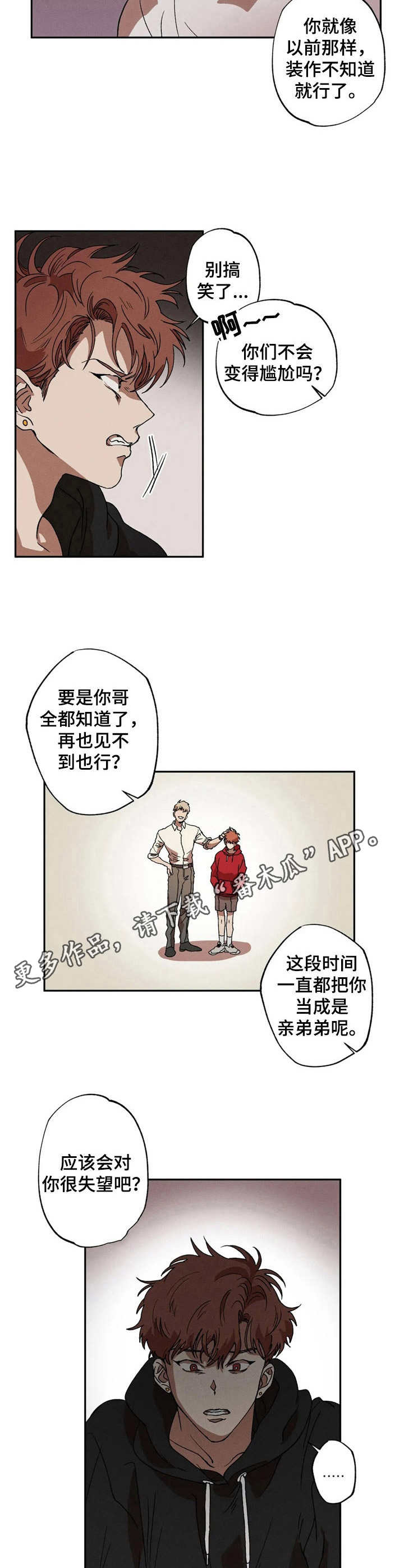 多伦多园丁猴哥漫画,第9章：提议5图