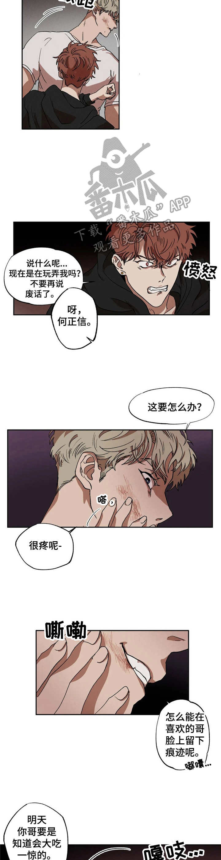 多伦多园丁猴哥漫画,第9章：提议3图