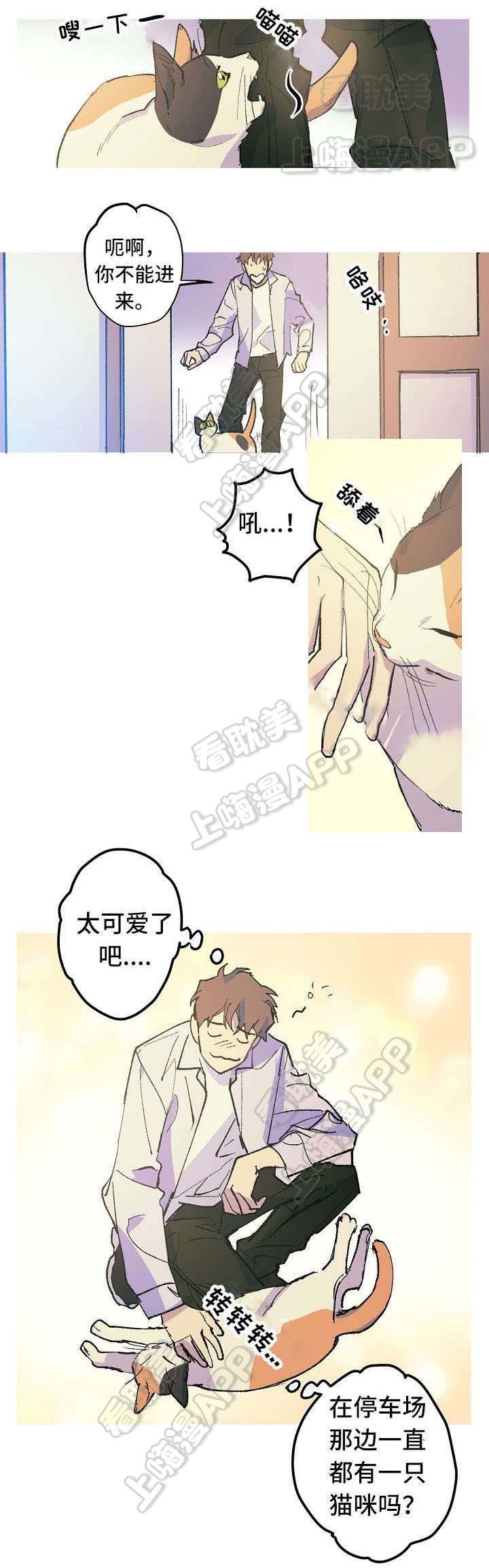 男友背着女友贷款完整版漫画,第12话1图