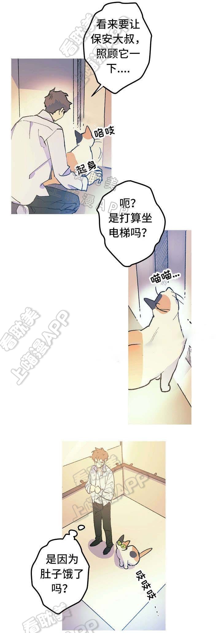 男友背着女友贷款完整版漫画,第12话2图