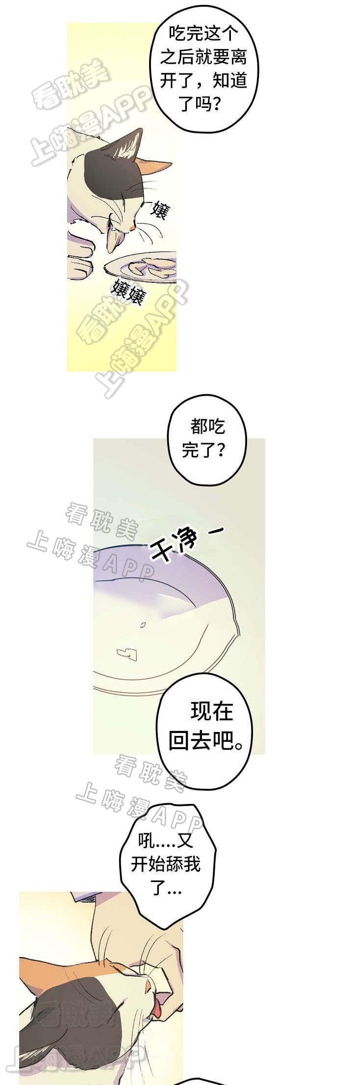 男友背着女友贷款完整版漫画,第12话5图