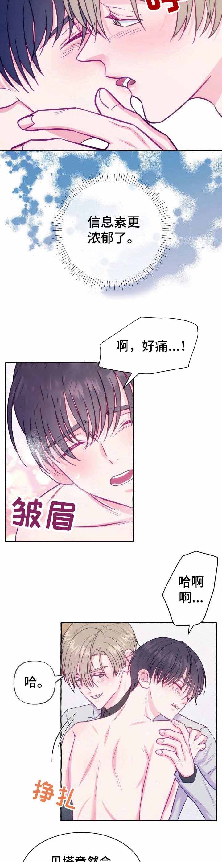 世界上最禁止偷拍的国家漫画,第8话4图