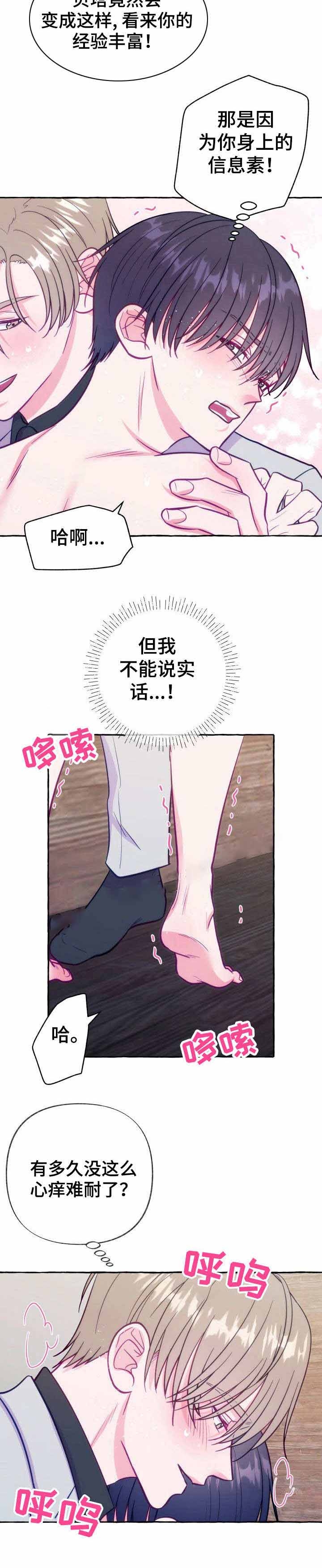 世界上最禁止偷拍的国家漫画,第8话5图