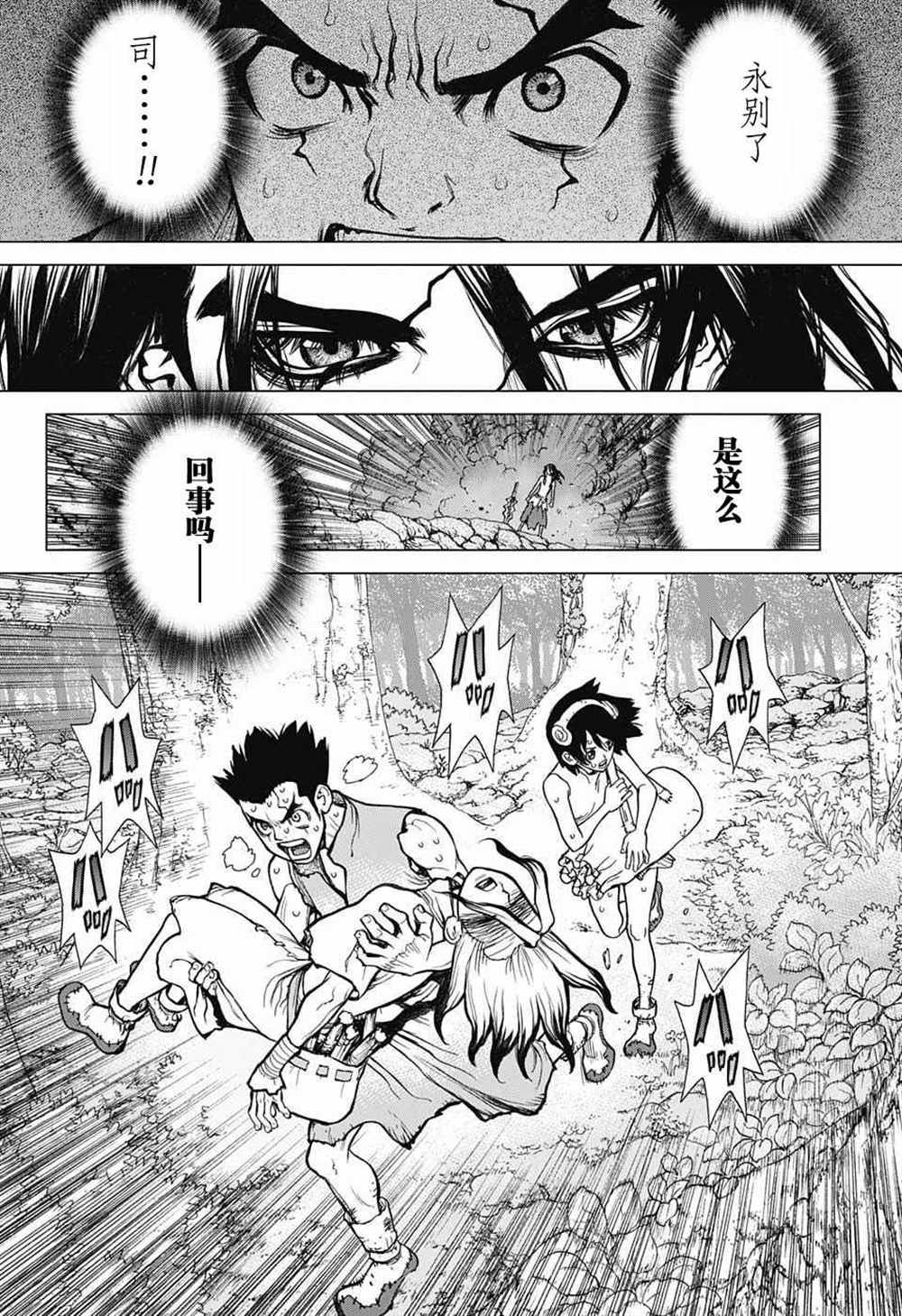 dr stone石纪元第一季普通话版漫画,第12话4图