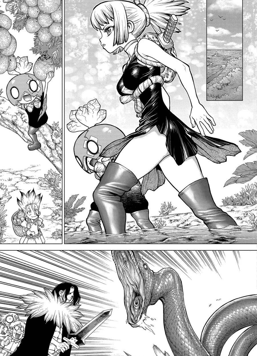 drstone石纪元樱花漫画,第180话试看版5图