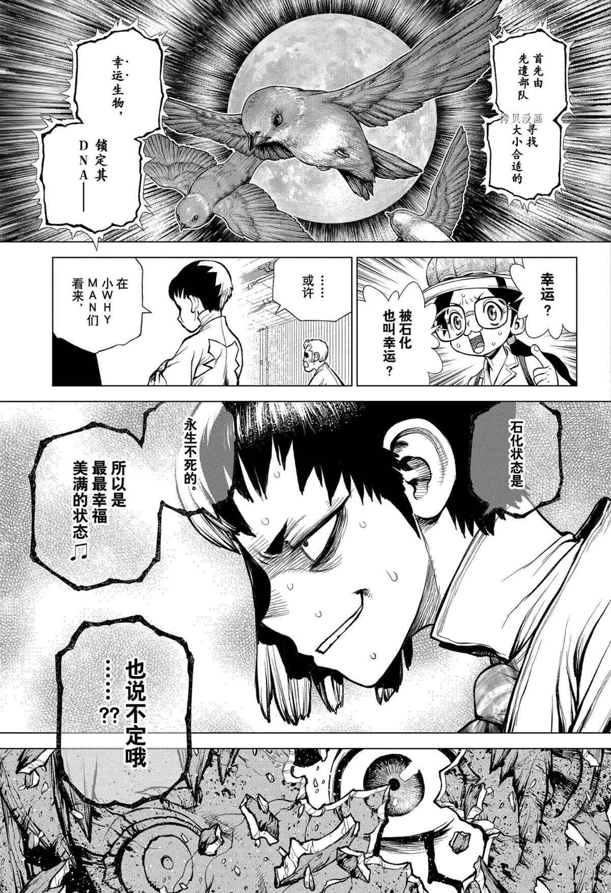 石纪元stone第二季在线观看漫画,第229话试看版5图