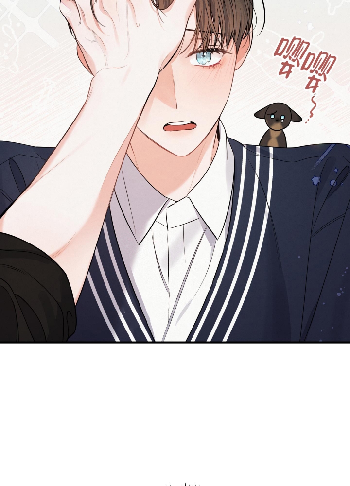 狗狗的恋爱史视频漫画,第6话4图