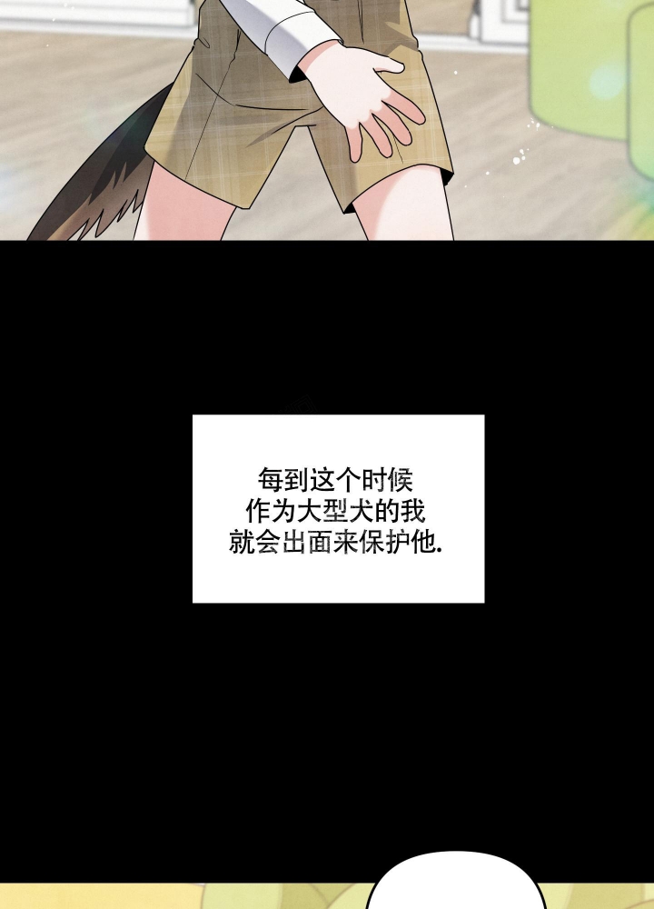 狗狗的文案短句干净治愈漫画,第8话5图