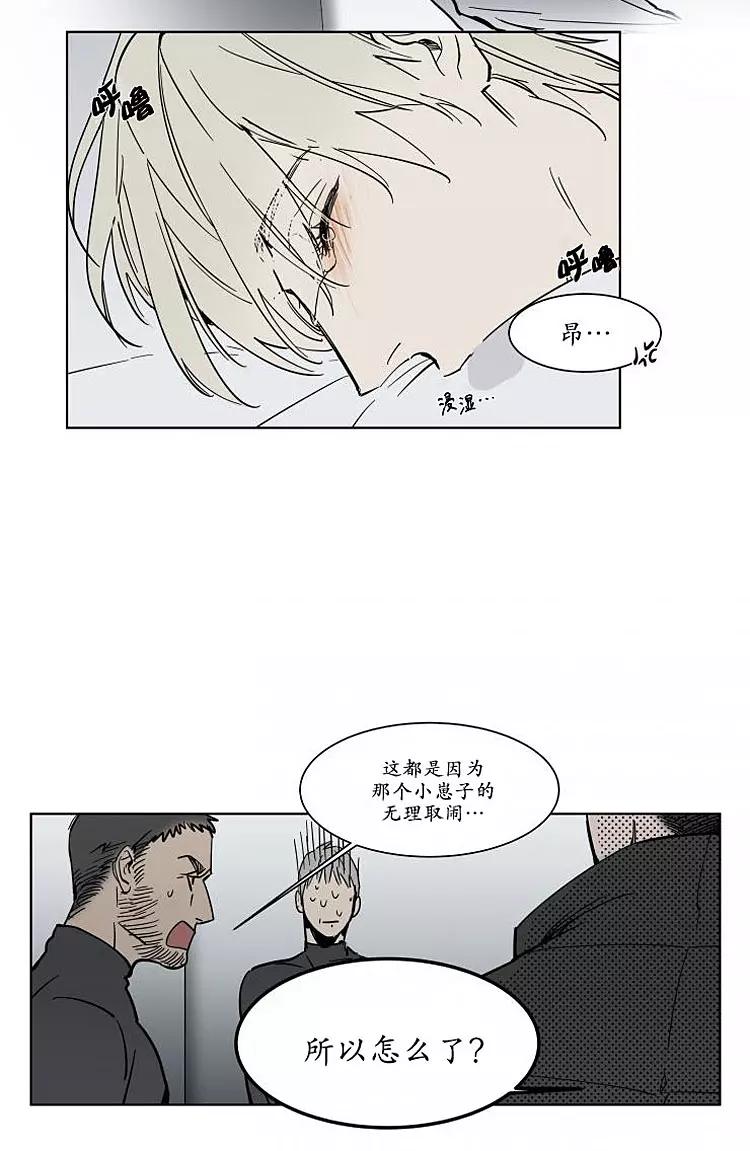 被驯服的遗产漫画免费漫画,番外014图