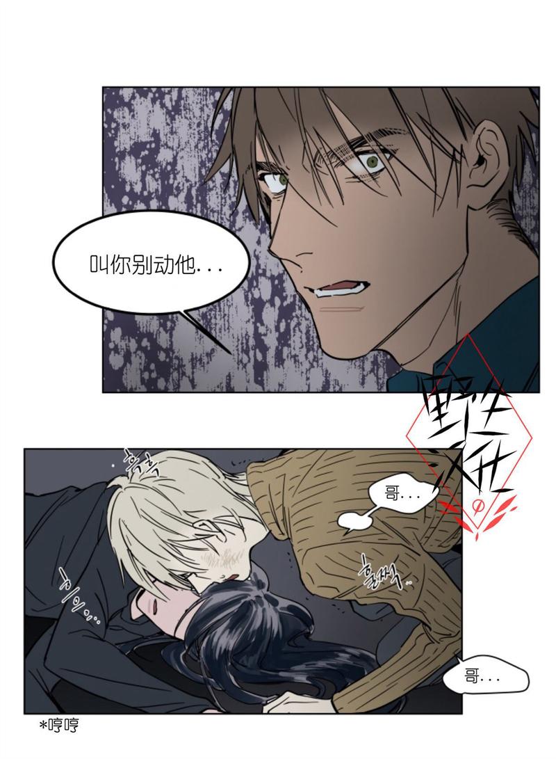 被驯服的遗产斑比漫画,第38话4图