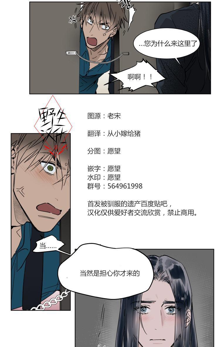 被驯服的遗产有小说吗漫画,第36话4图
