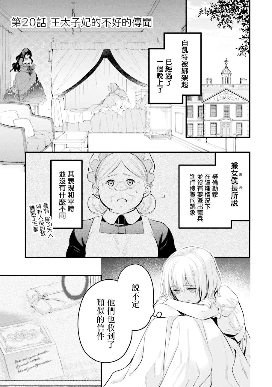 厄里斯魔镜真实图片漫画,第20话2图