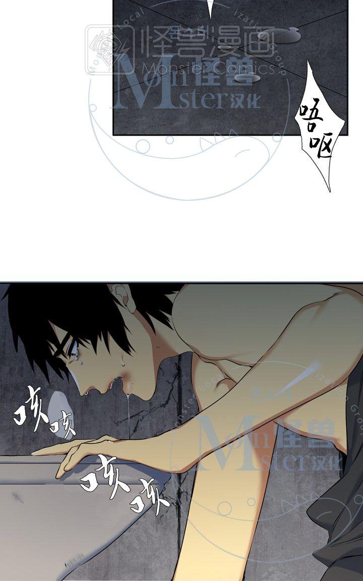 寂静鸟韩漫结局漫画,第31-35话3图