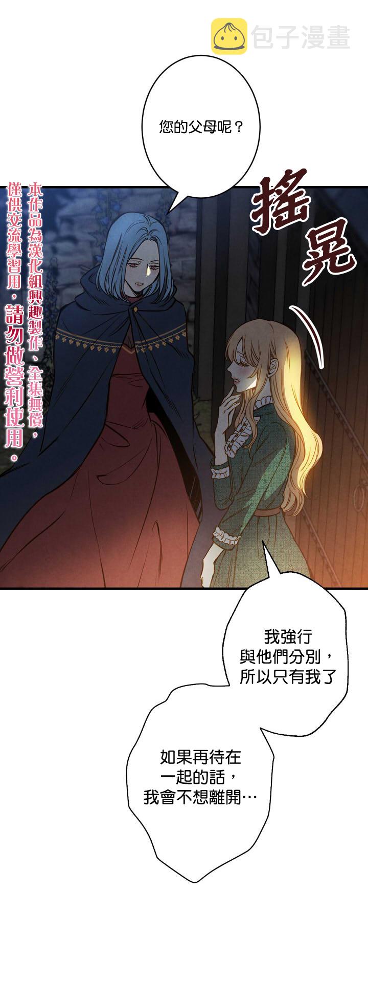 替身皇妃人物关系漫画,第8话5图