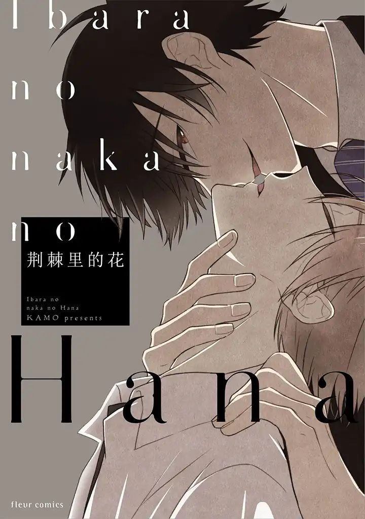 荆棘里的花吉他谱漫画,第1.2话2图