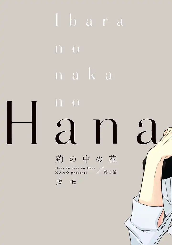荆棘里的花完整漫画,第1.1话4图