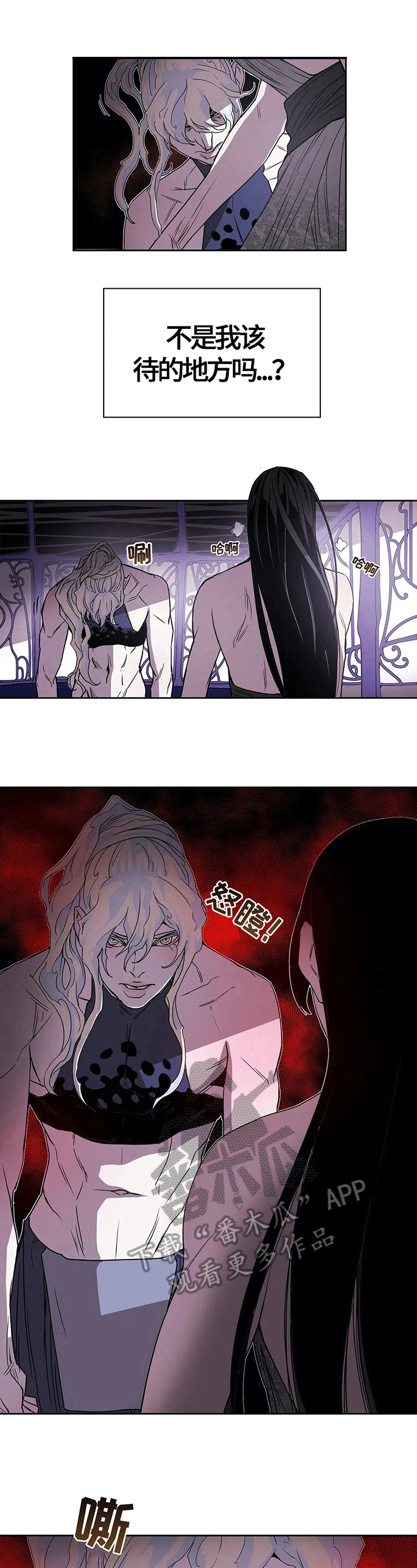 神的替身漫画解说漫画,第39章：阻止5图